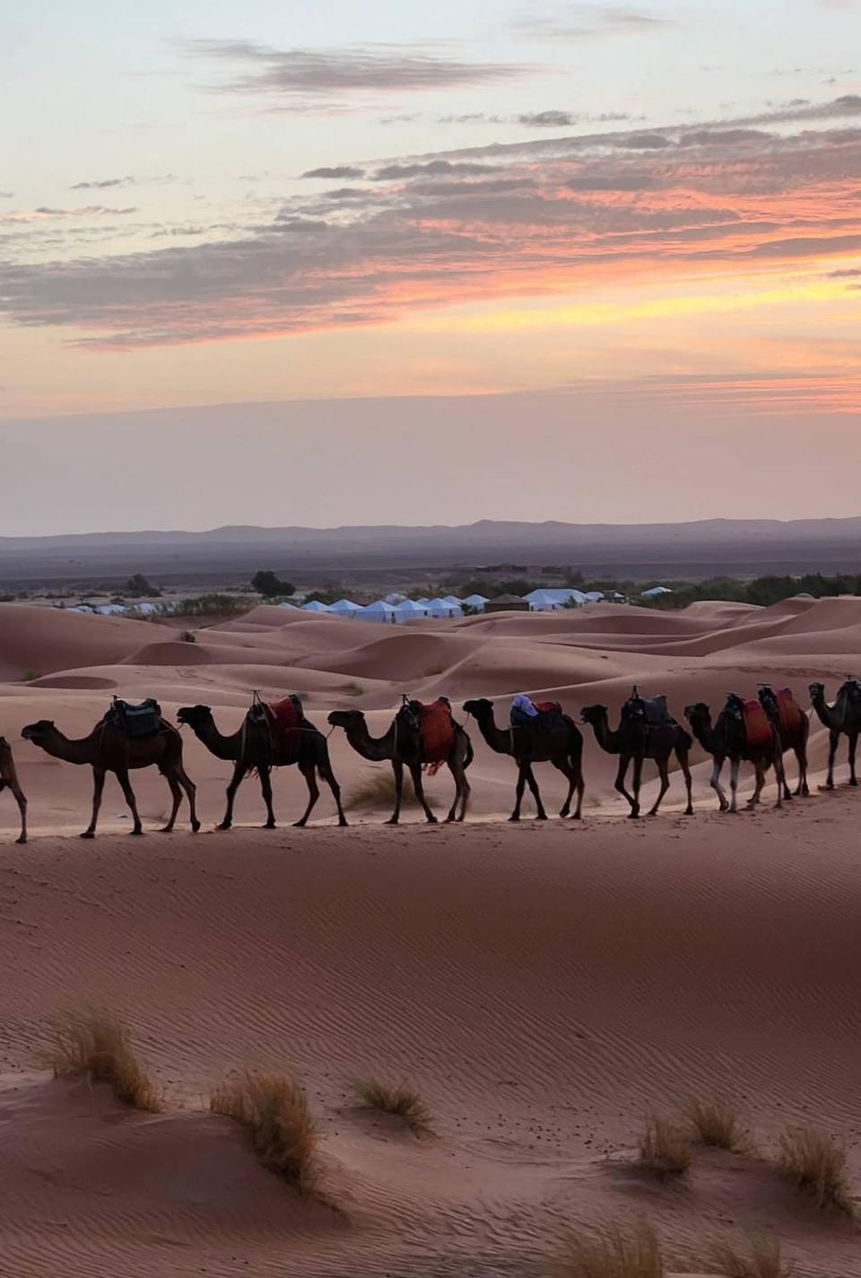 Camp nomadelife Campground/ 
RV Resort in Morocco