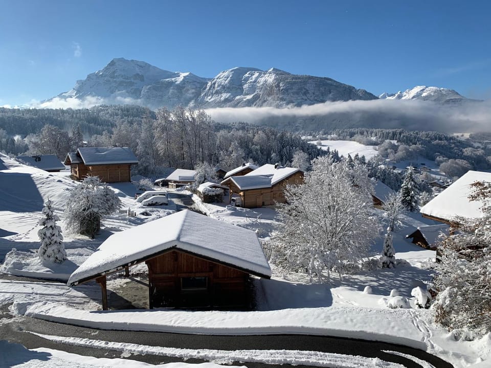 Winter, View (from property/room), Mountain view