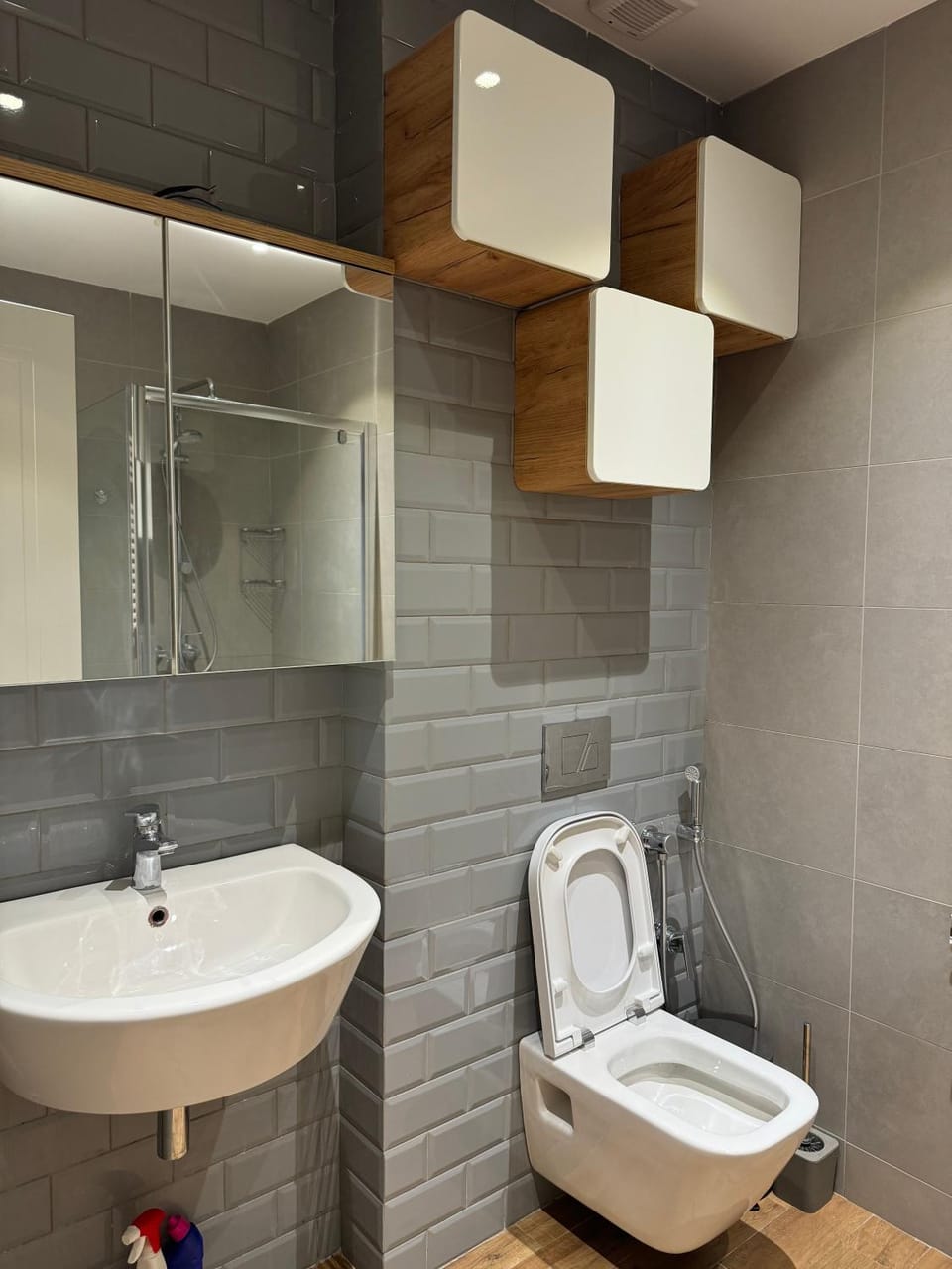 Toilet, Bathroom