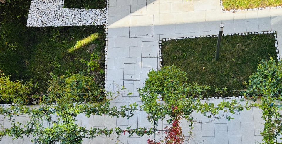 Garden view