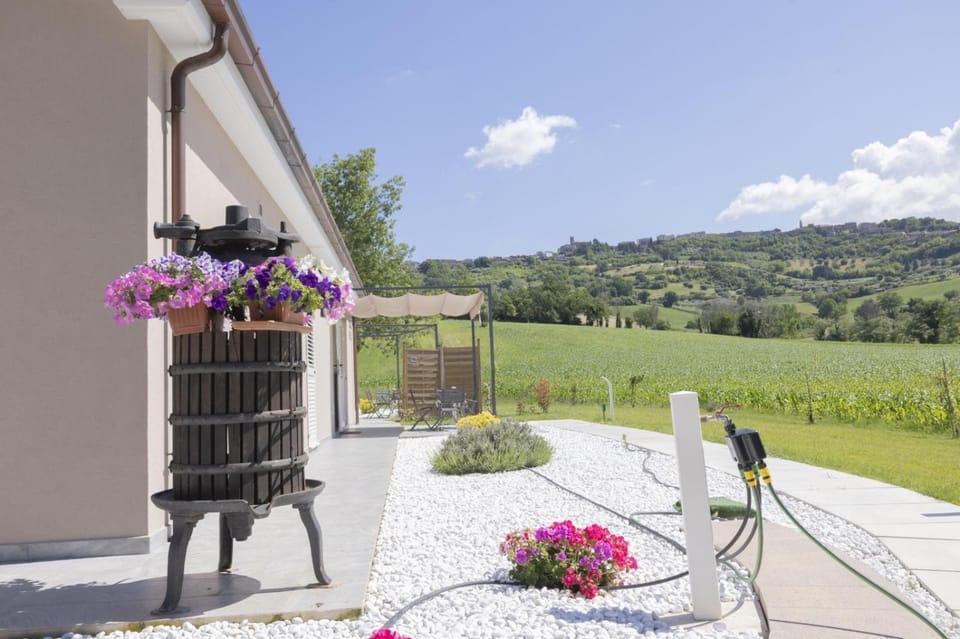 Natural landscape, Garden view