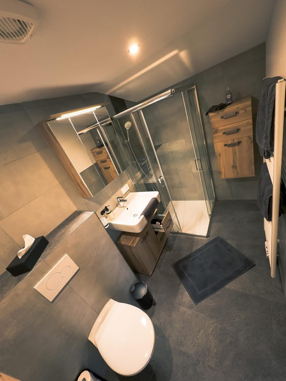 Shower, Toilet, Bathroom, towels