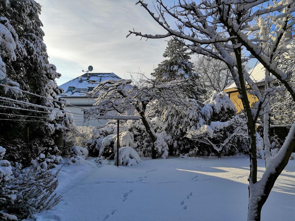 Winter, Garden