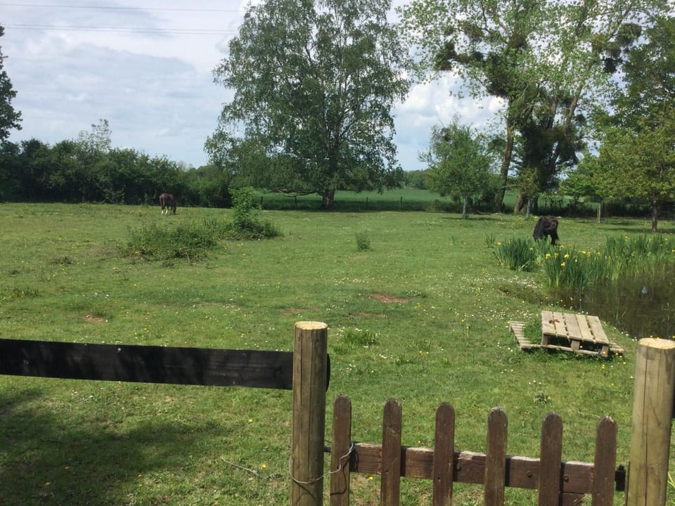 Natural landscape, Garden, Garden, Garden view