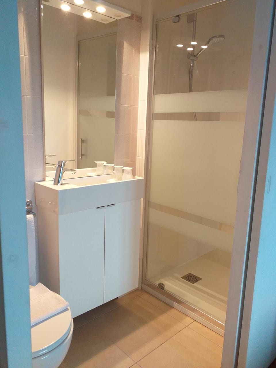 Hôtel le Lion d'Or Hotel in Centre-Val de Loire