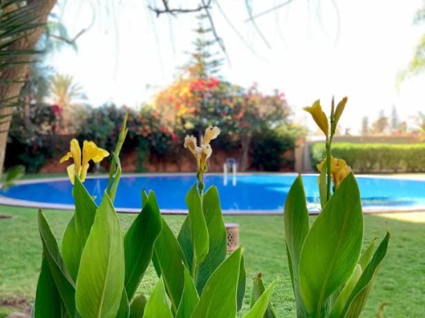 Spring, Natural landscape, Garden view, Swimming pool