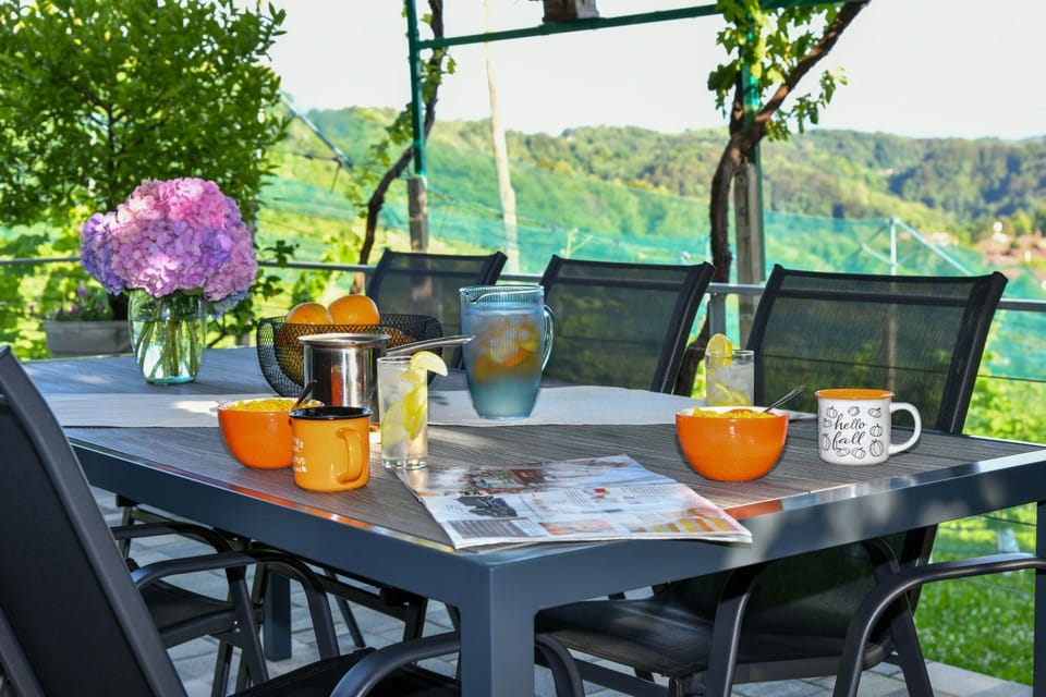 View (from property/room), Balcony/Terrace, Food and drinks