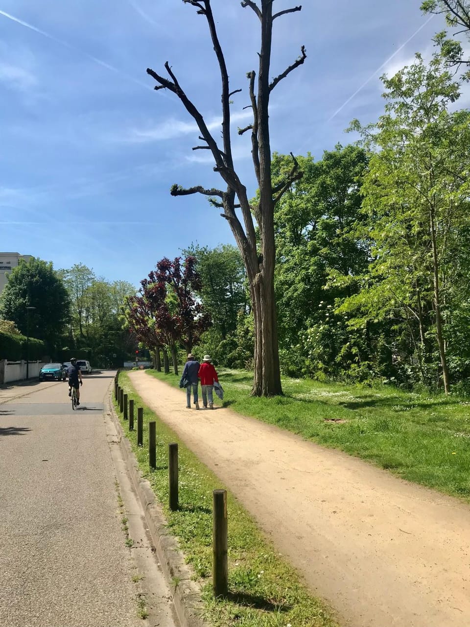 Neighbourhood, Natural landscape, Cycling