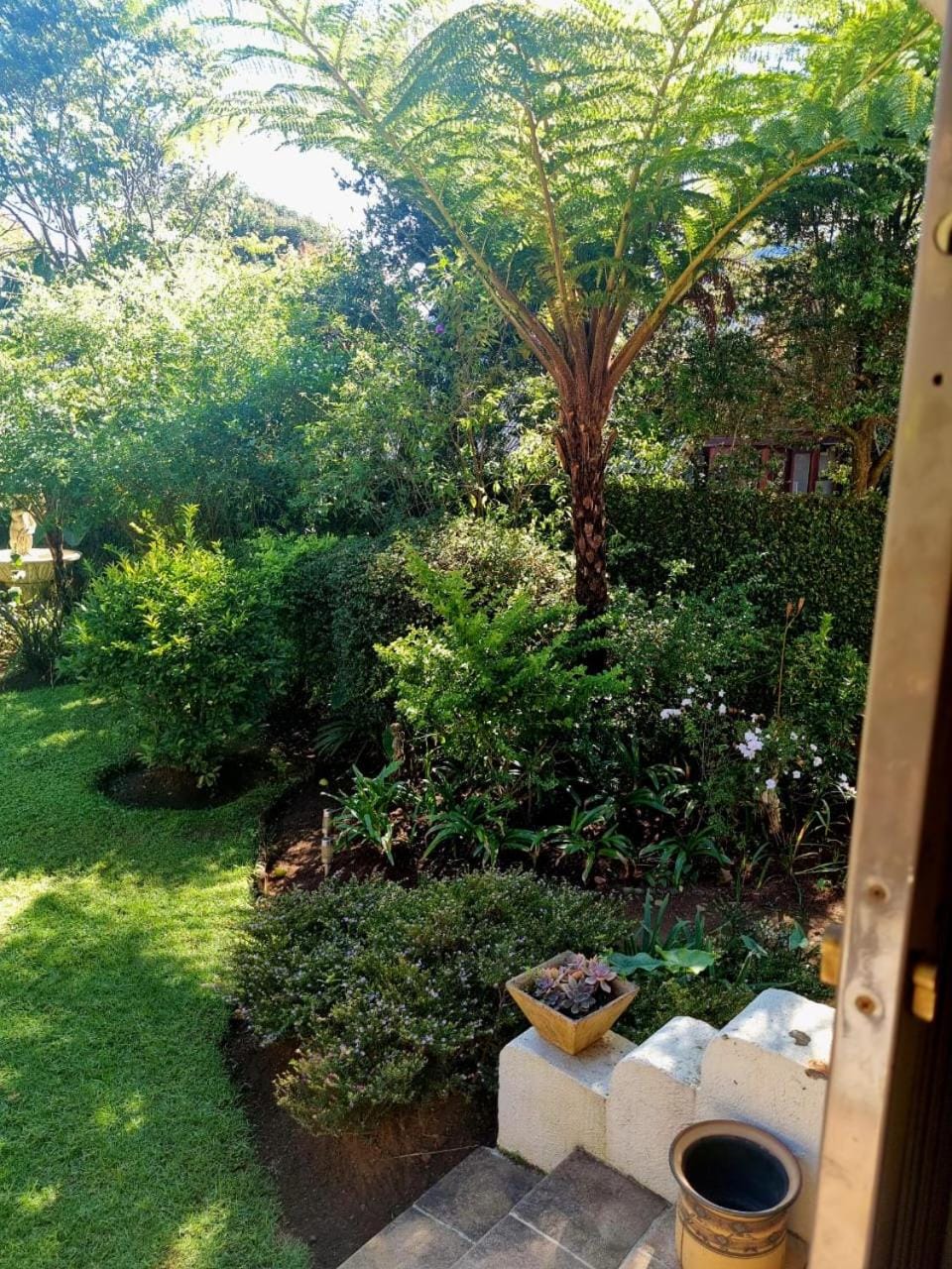 Garden view