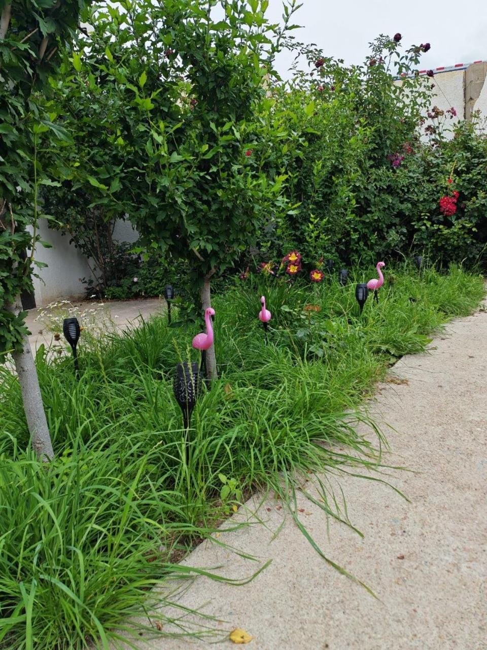 Гостевой дом Светоч Bed and Breakfast in Almaty Region, Kazakhstan