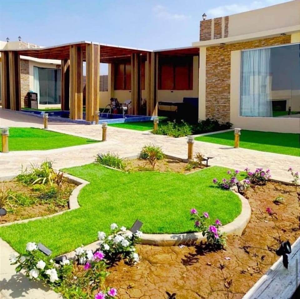 Property building, Spring, Day, Natural landscape, Garden, Garden view