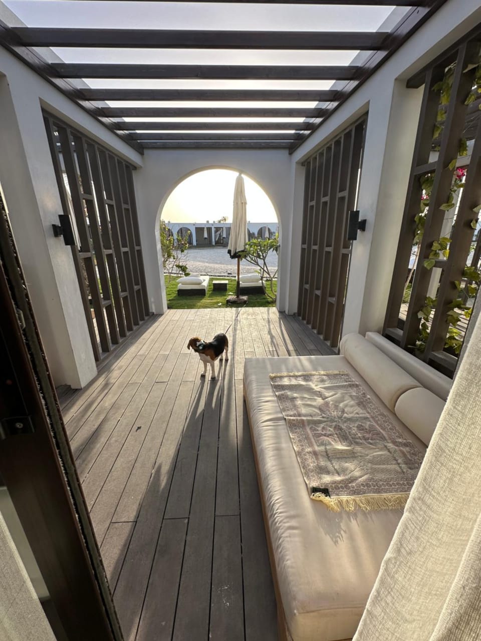 Patio, Day, View (from property/room), Balcony/Terrace, pet friendly, pet friendly