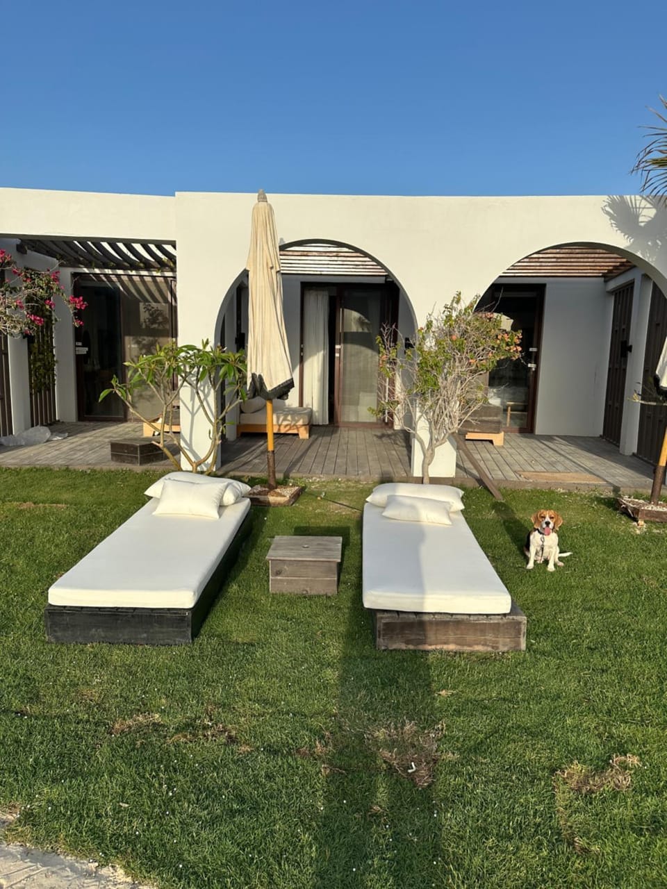 Garden, Garden view, pet friendly, pet friendly, sunbed