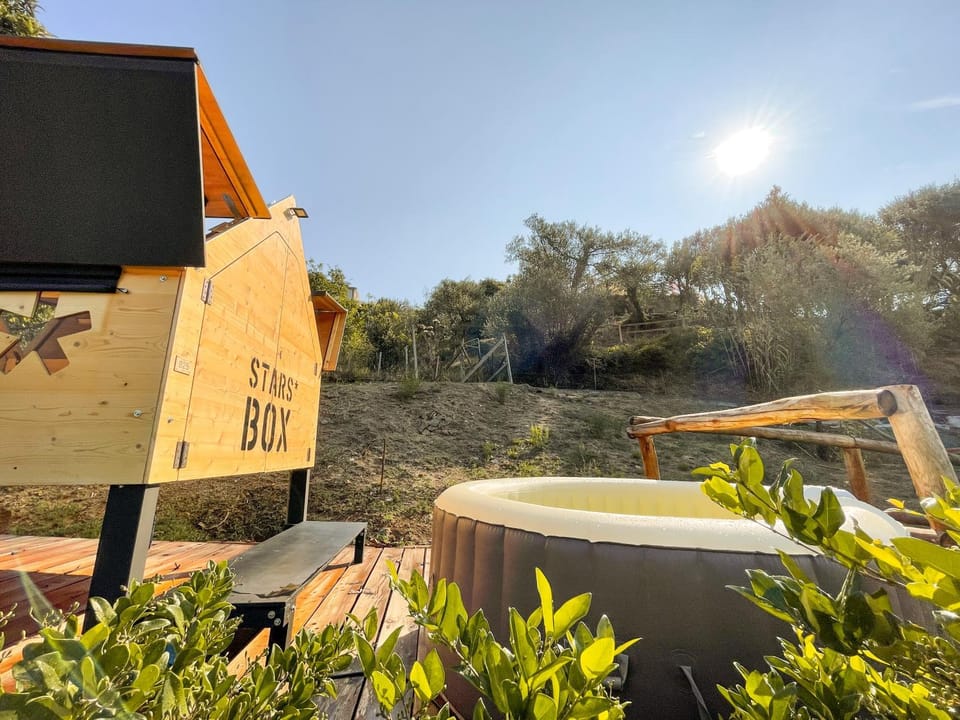 Natural landscape, Garden, Hot Tub, Garden view