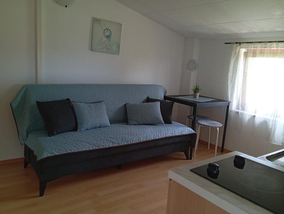 Fazana local family apartment A2 Apartment in Fažana