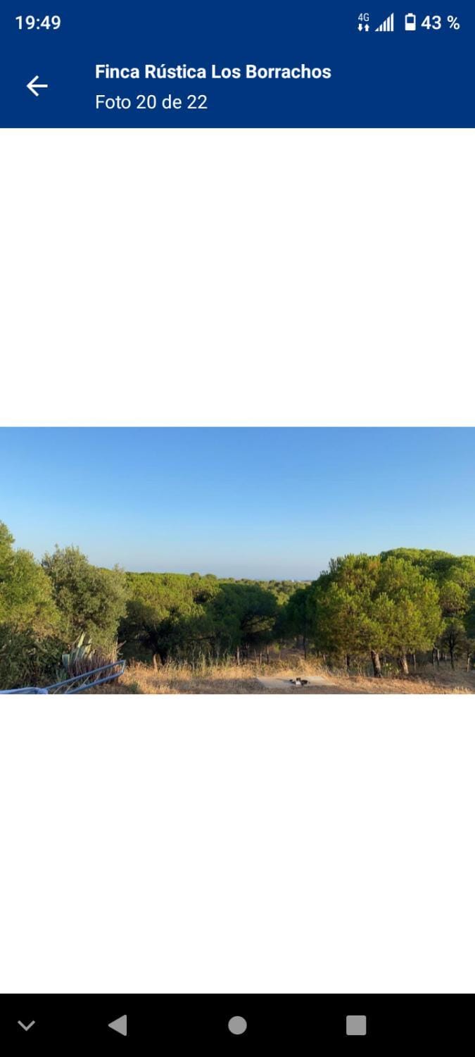 Natural landscape