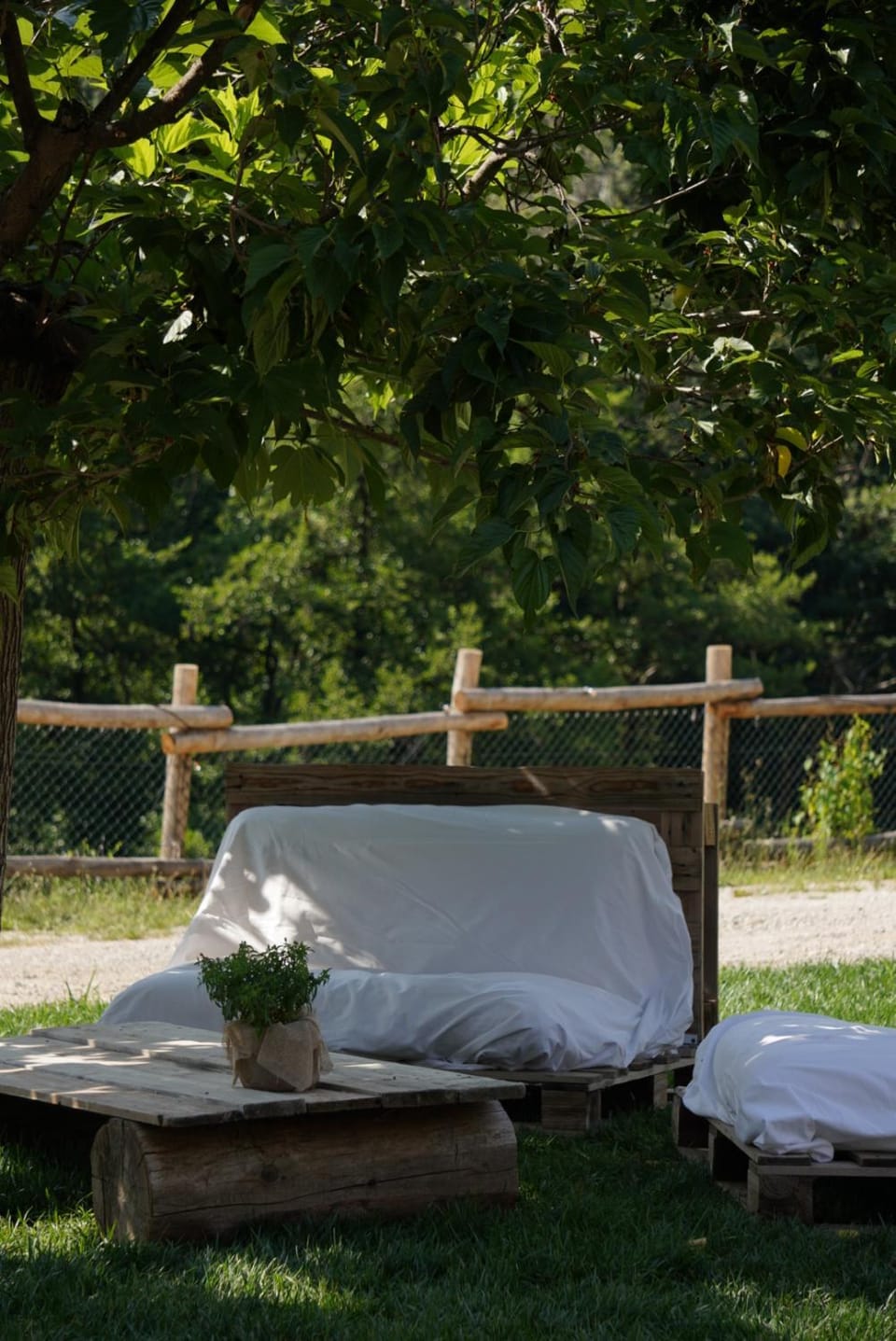 Day, Natural landscape, Garden, Garden view