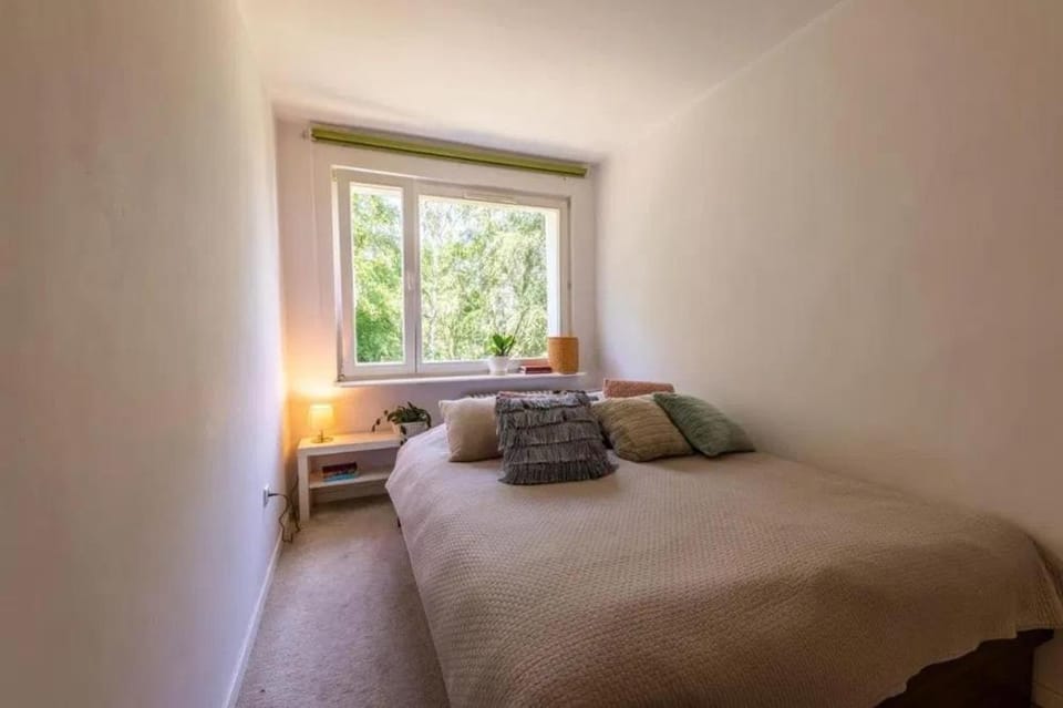 Bed, Living room, Photo of the whole room, Seating area, Bedroom