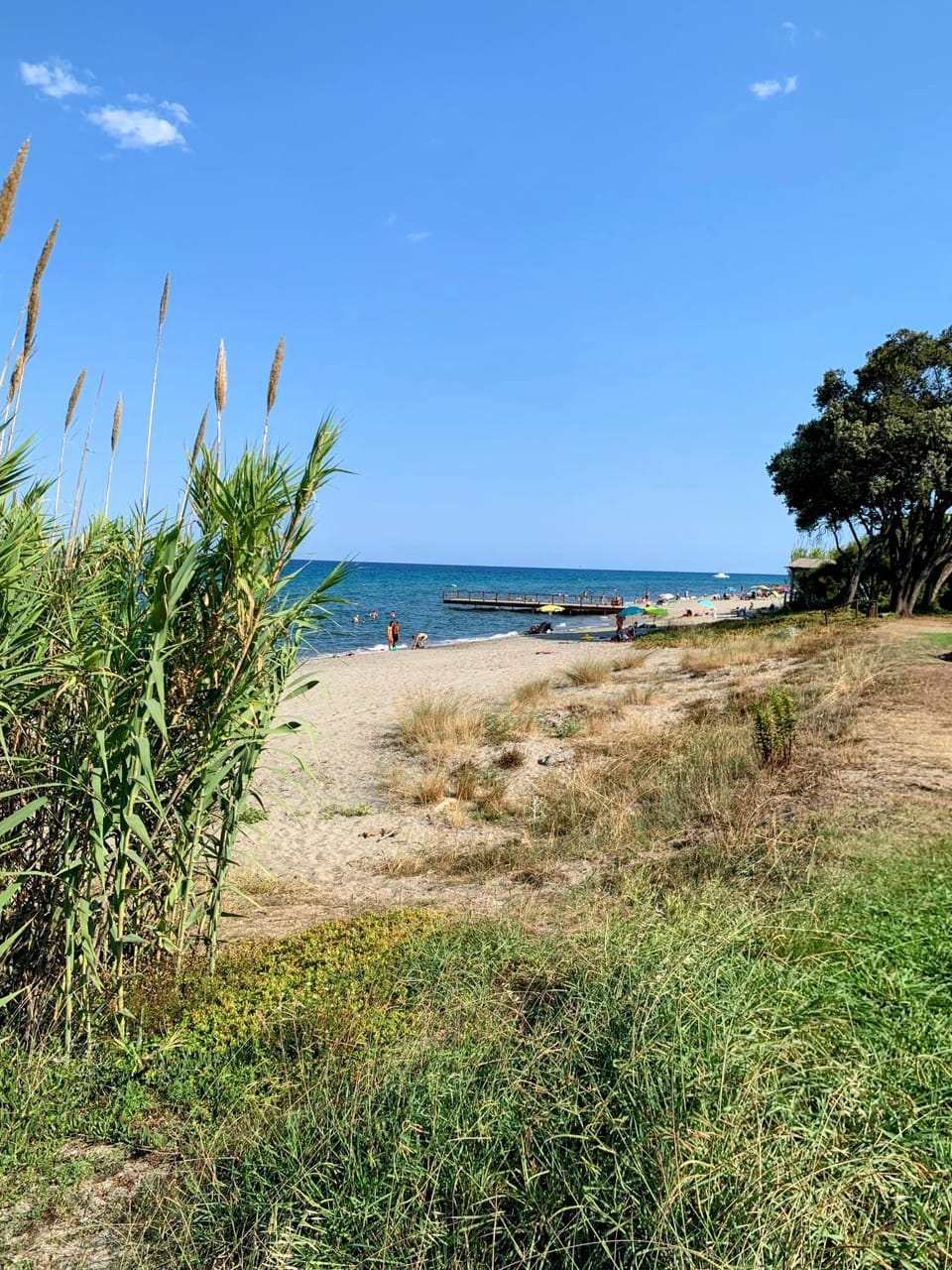 Beach, On site