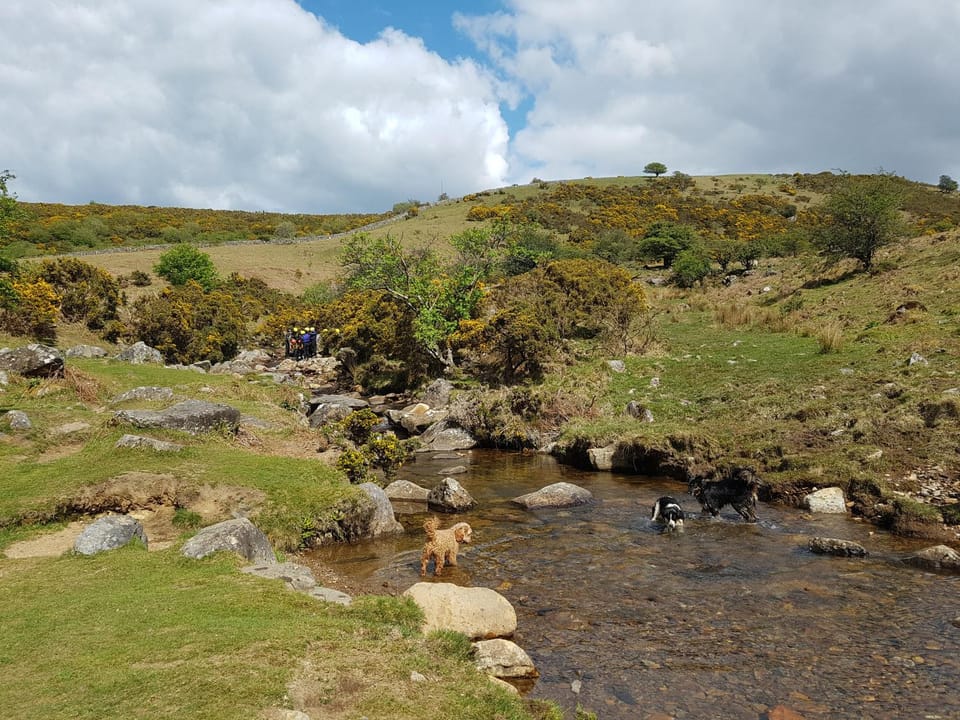 Nearby landmark, Natural landscape