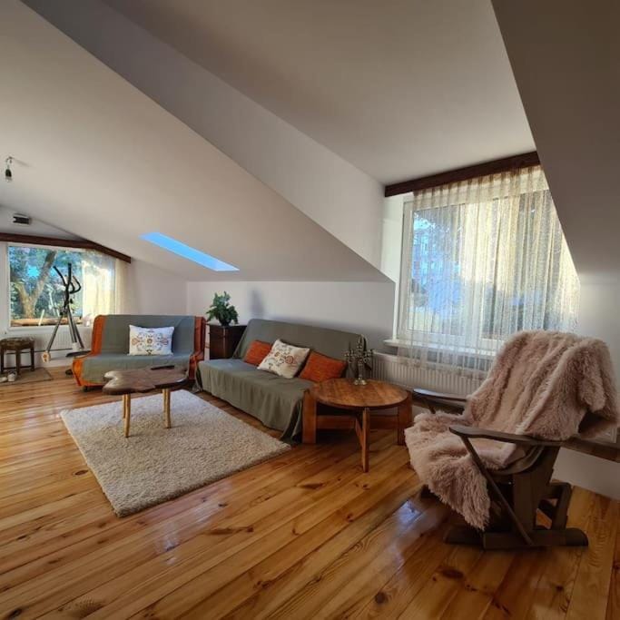 Mansarda boema, gradina de basm House in Bucharest