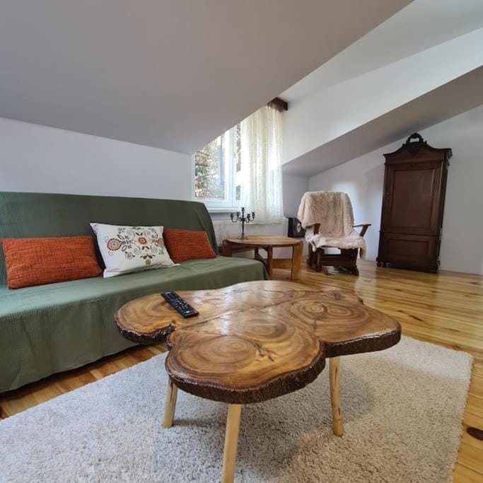 Mansarda boema, gradina de basm House in Bucharest