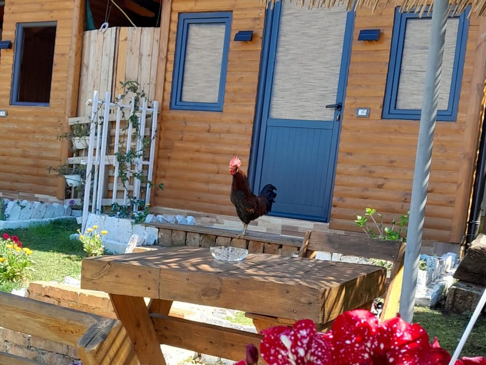 Property building, Patio, Day, Garden, Dining area, Garden view