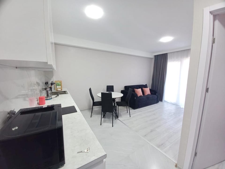 Kitchen or kitchenette, Living room, Seating area, Dining area