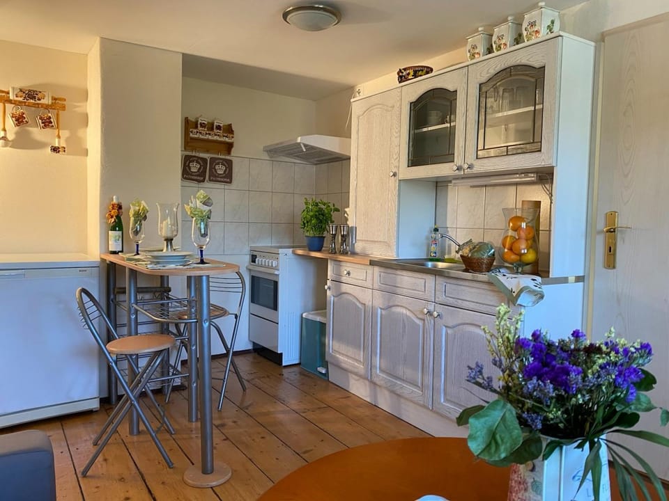 Kitchen or kitchenette, oven, stove