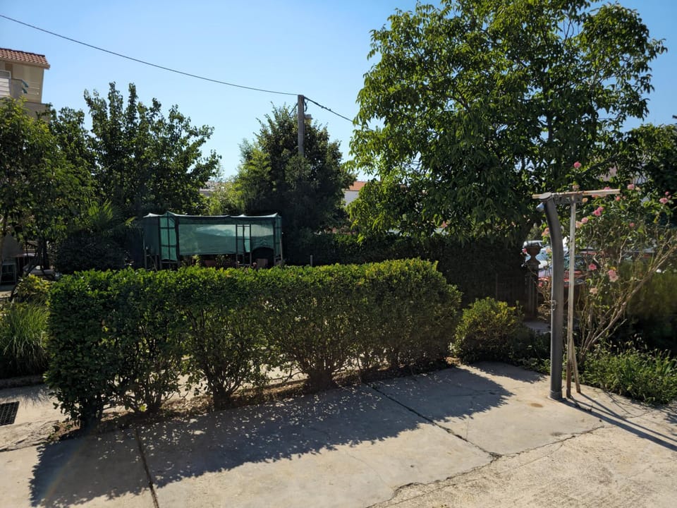 Day, Garden, Garden view