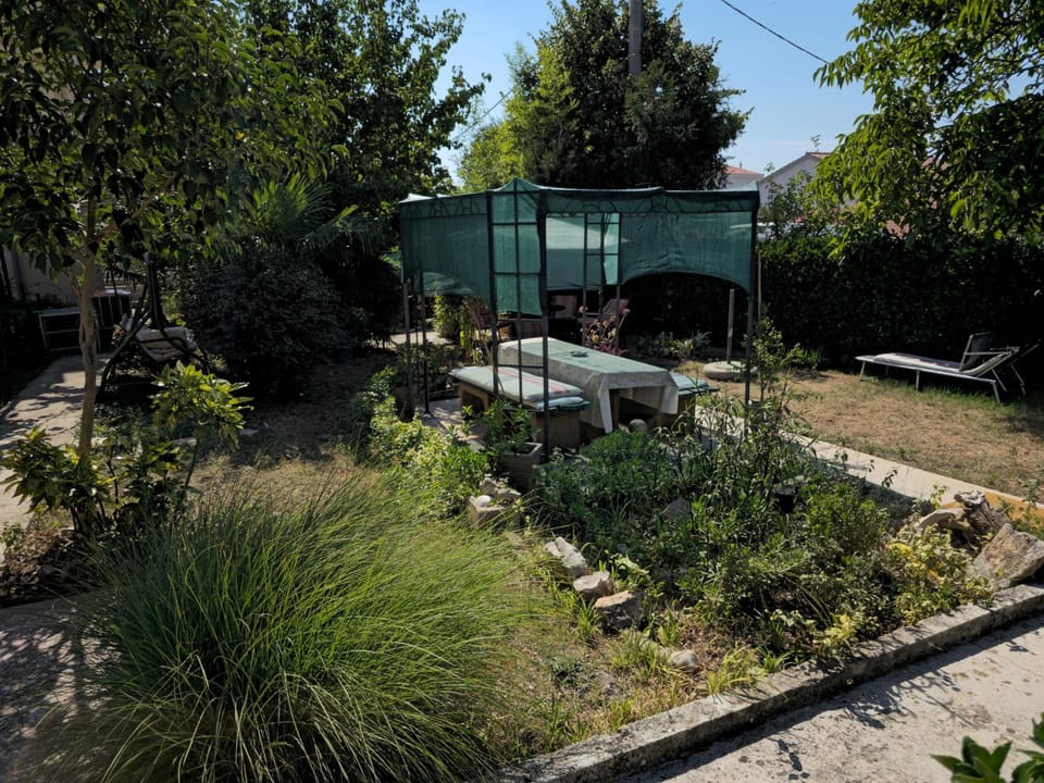 Spring, Day, Garden, Garden view