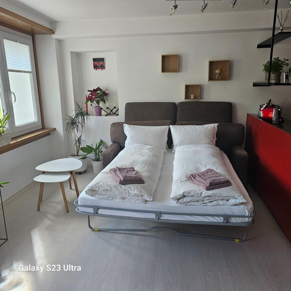 La Fattoria del Coz Apartment in Canton of Grisons