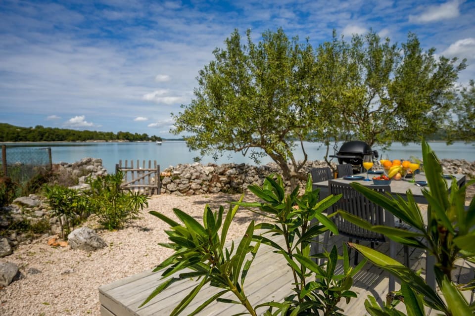 Sea view, Area and facilities