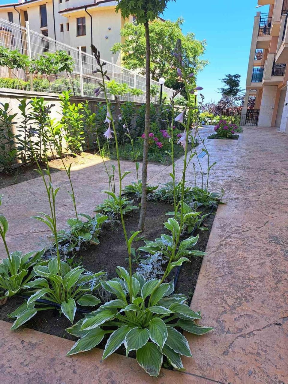 Garden, Garden, Garden view