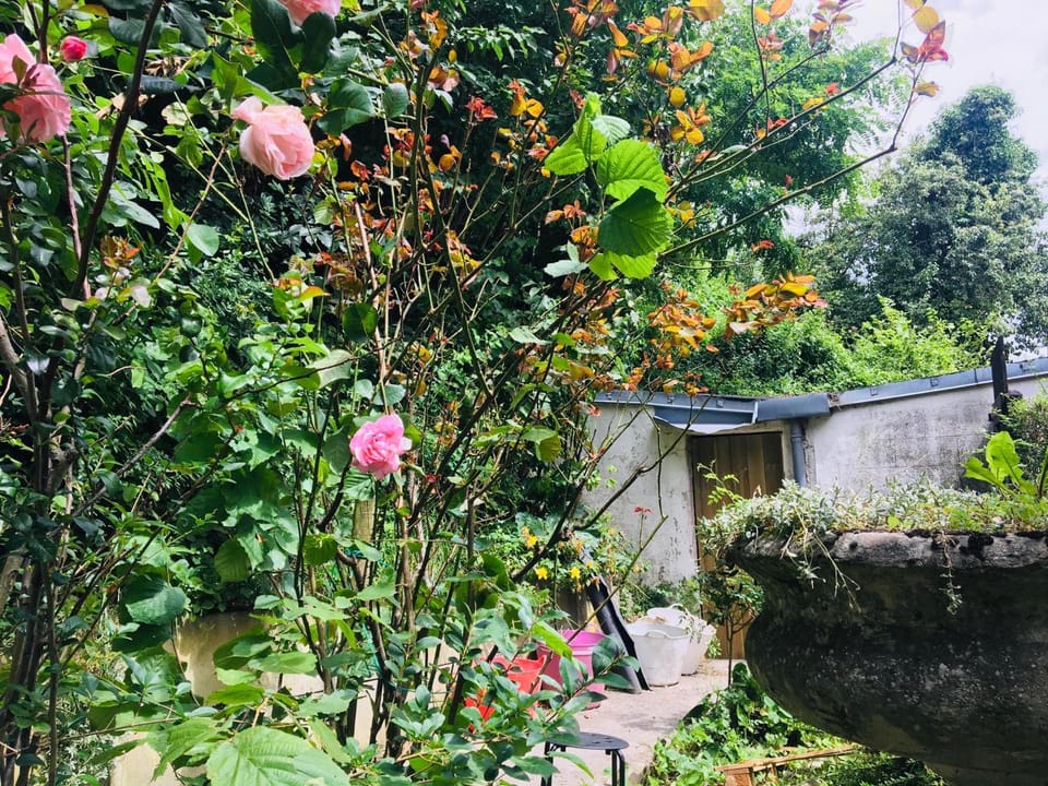 Garden, Garden view