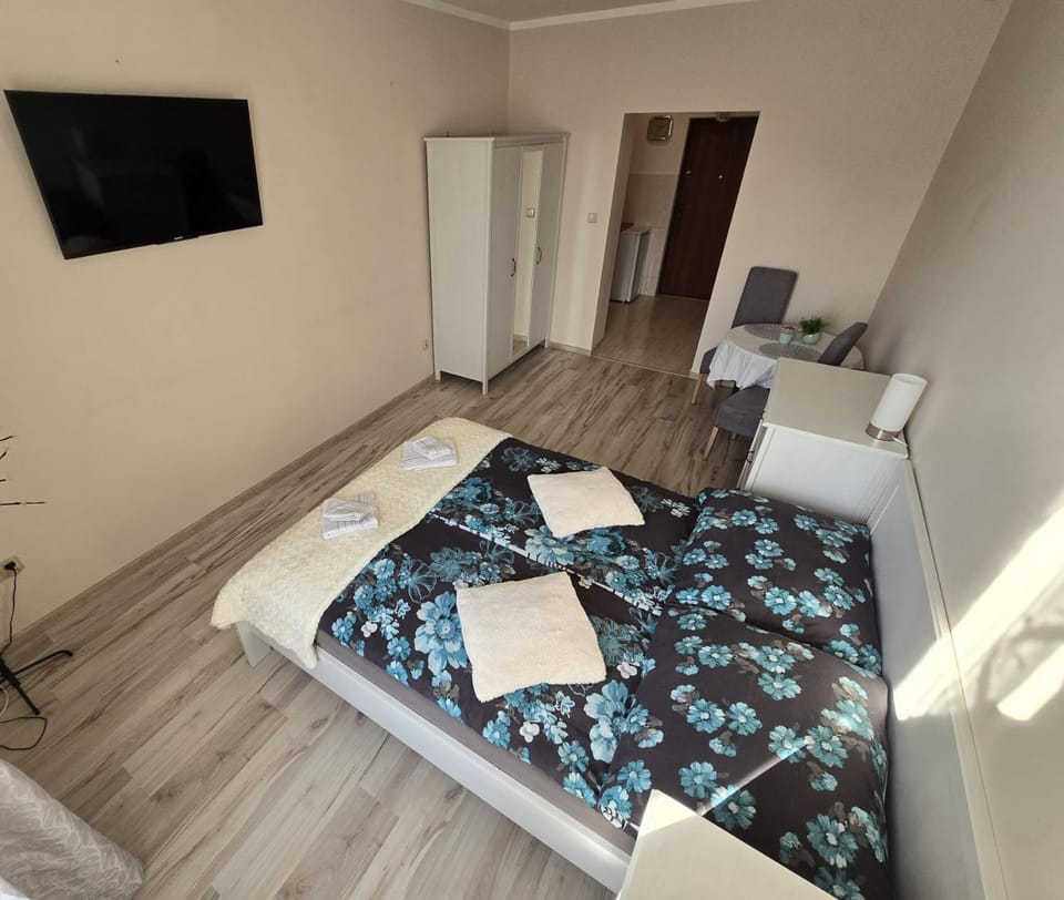 Bed, TV and multimedia, Photo of the whole room