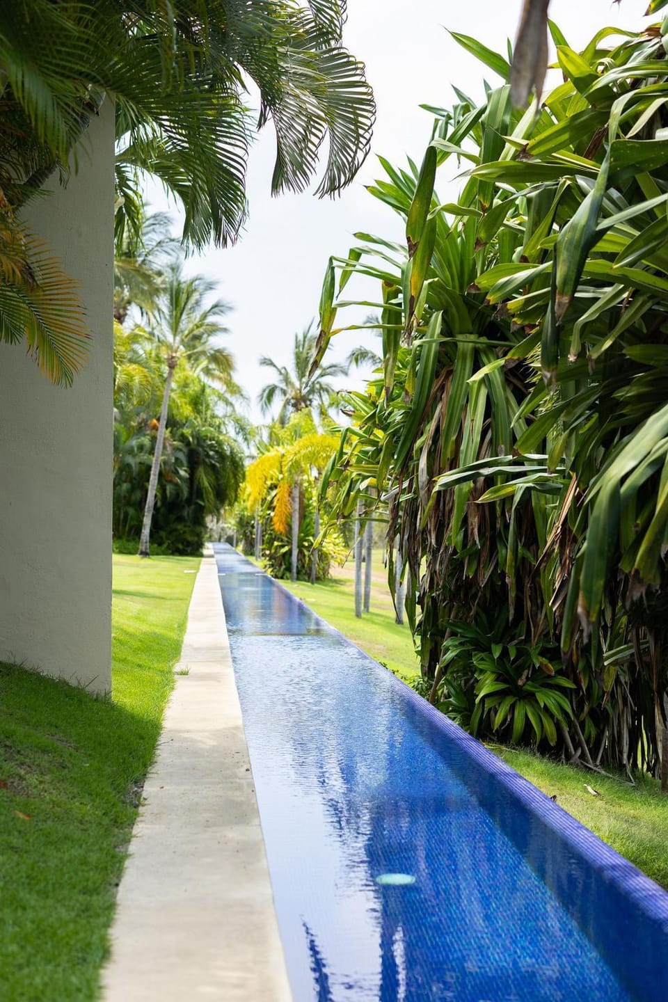 Swimming pool, Swimming pool