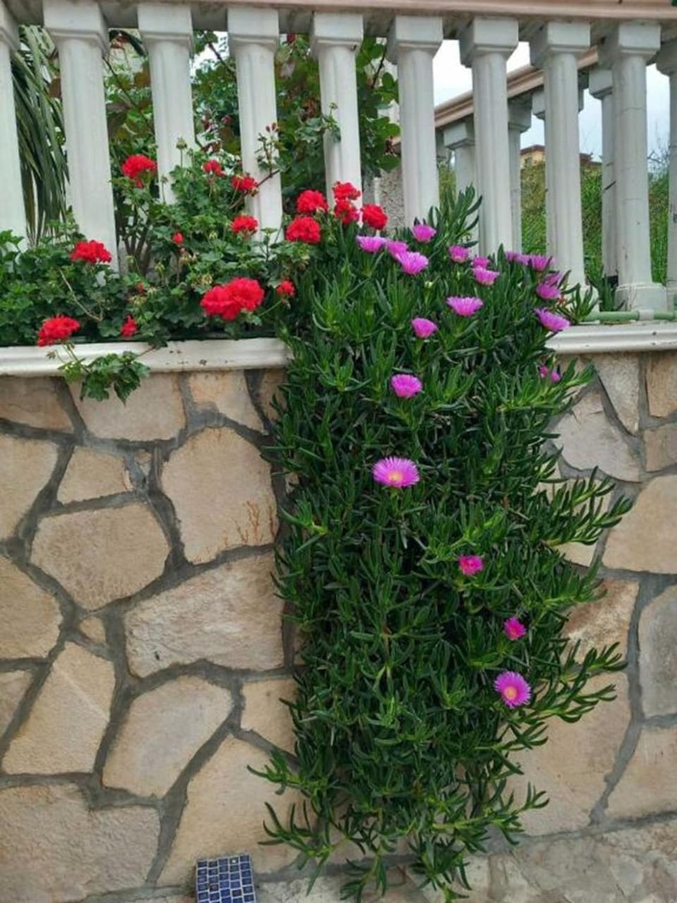 Villa Delfin 1-2-3-4 Apartment in Montenegro