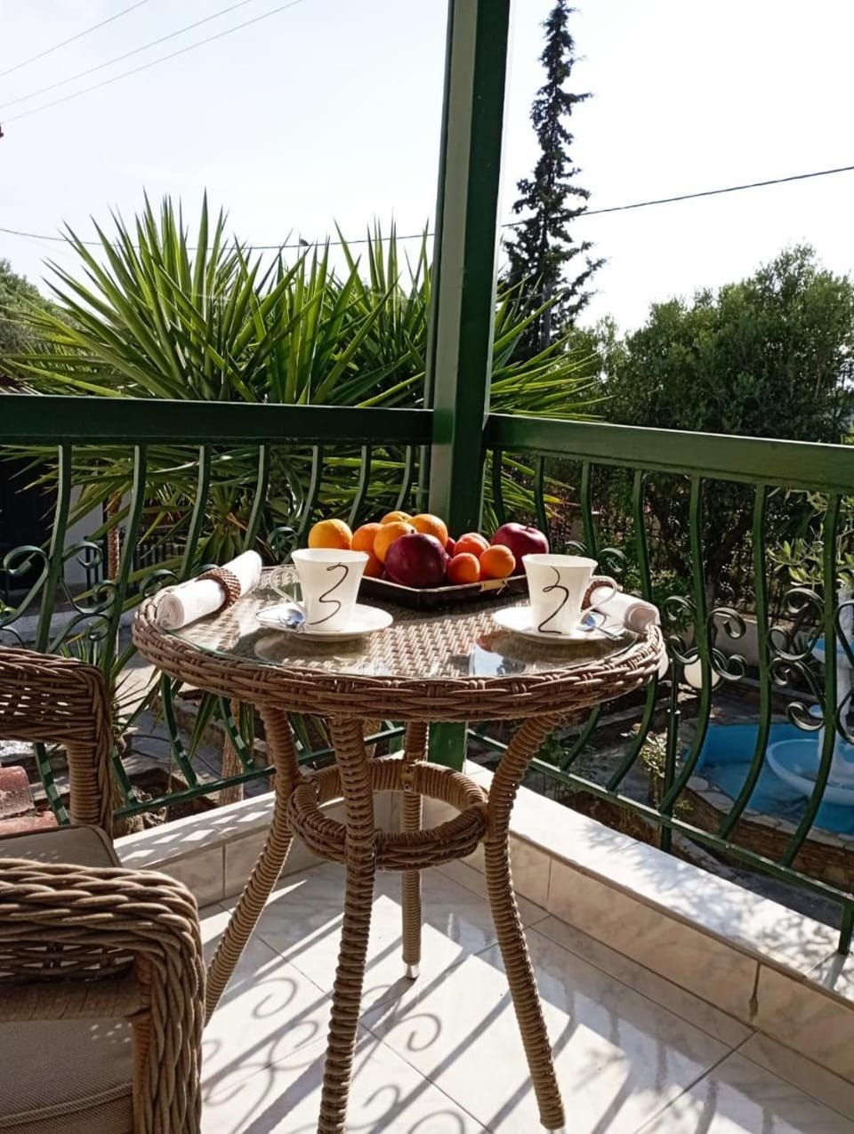 Balcony/Terrace