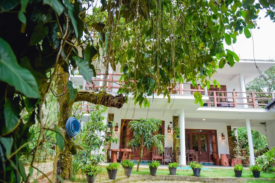 Property building, Garden, Garden, Garden view, Garden view