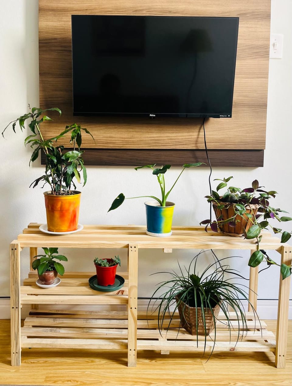 TV and multimedia