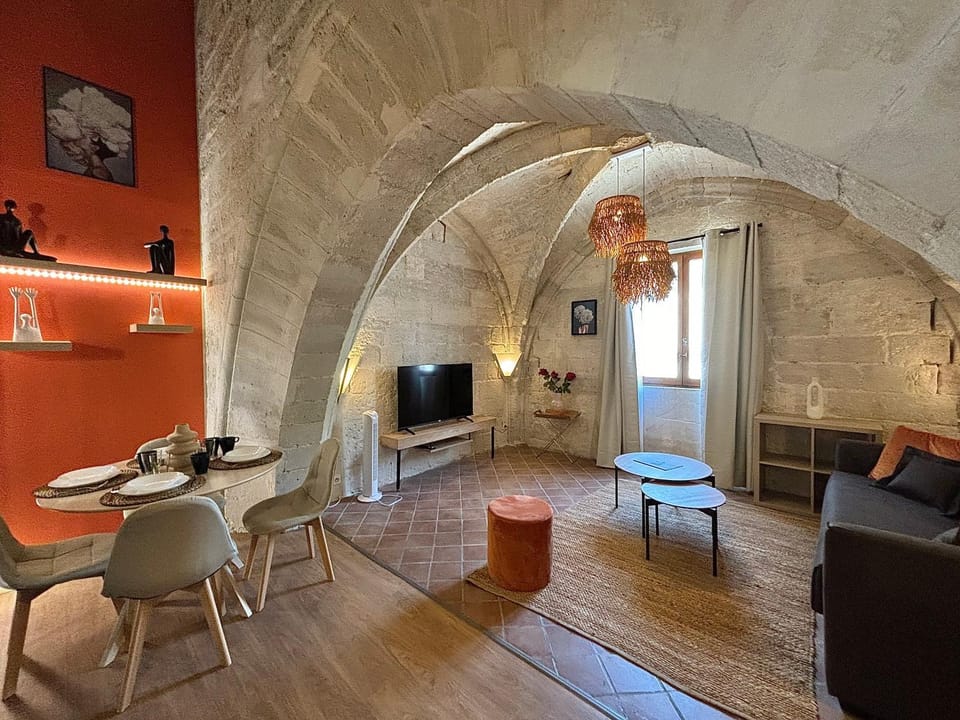 Joli appartement voûté dans le centre ville Apartment in Avignon