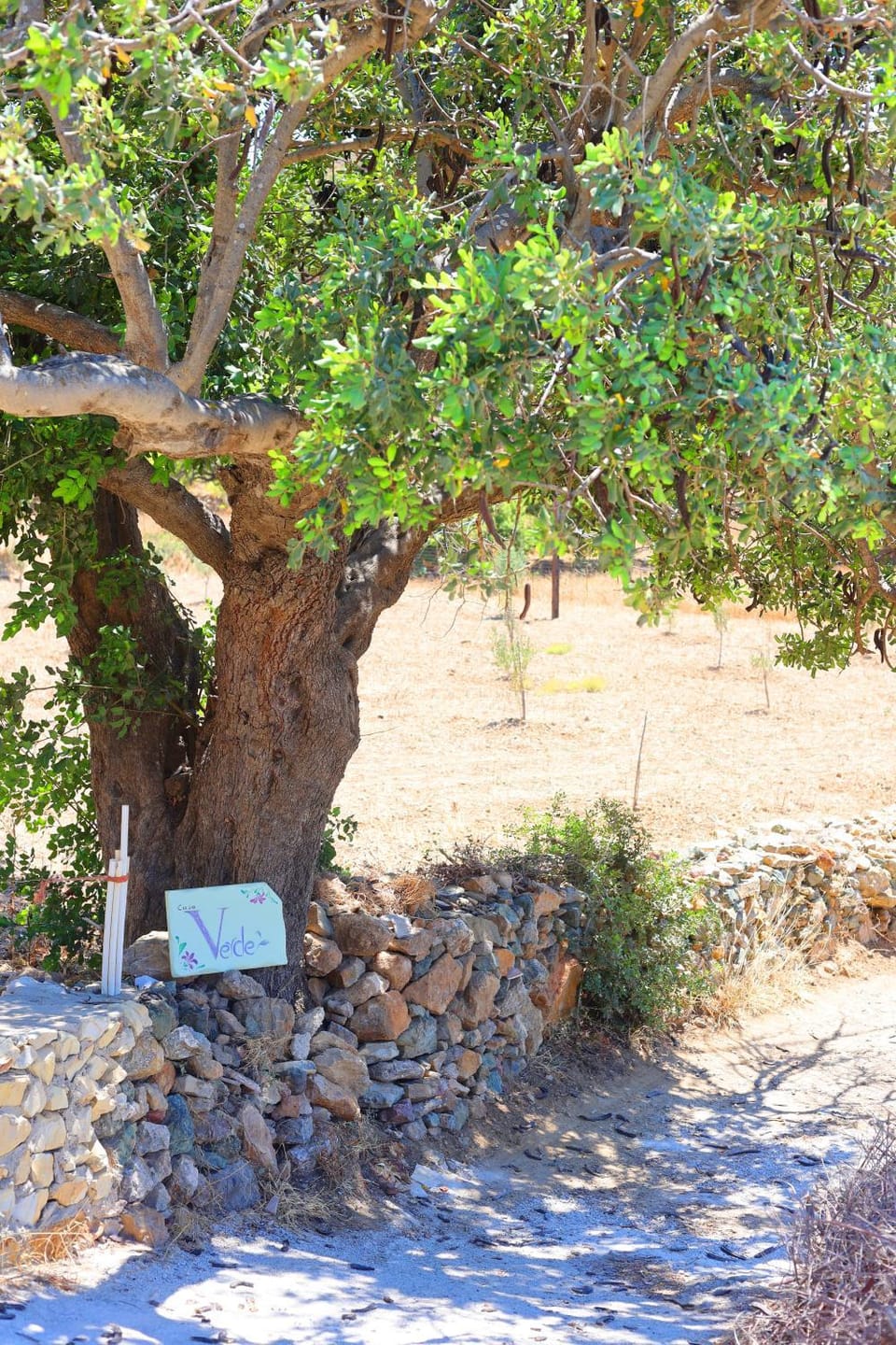Verde House in Decentralized Administration of the Aegean