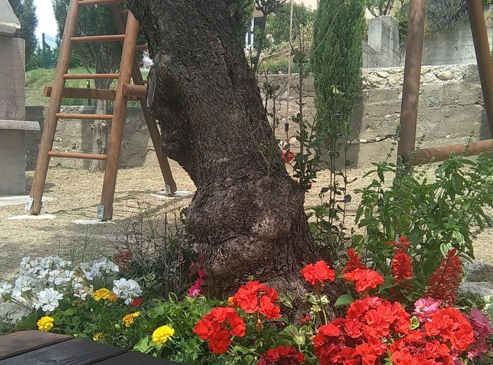 Garden view
