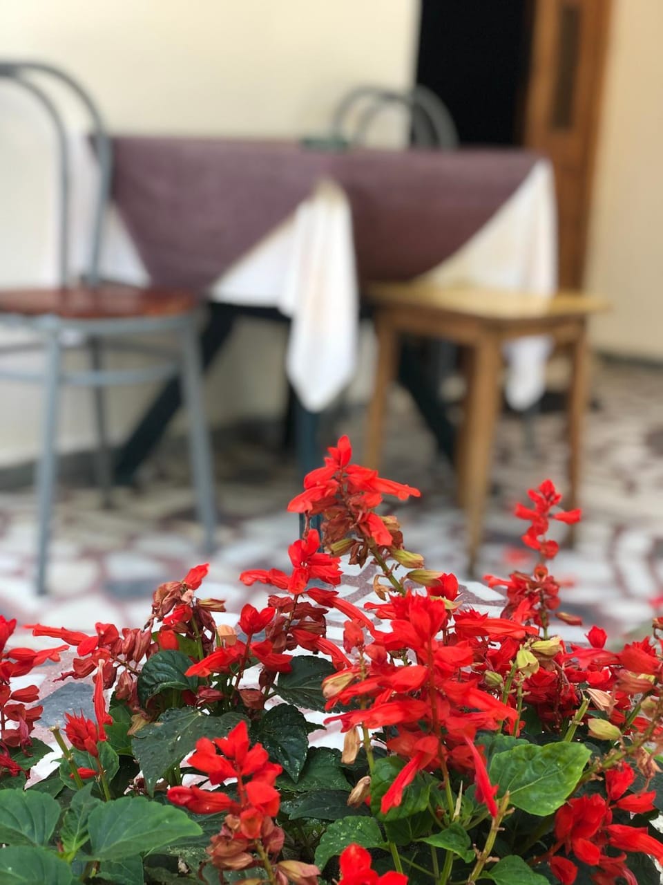 Guest House Plima 2 Bed and Breakfast in Budva