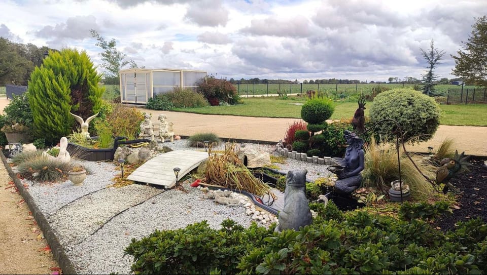 Day, Natural landscape, Garden, Garden view