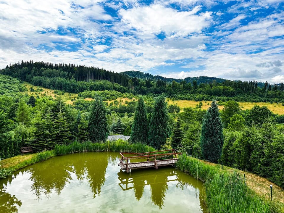 Spring, Day, Natural landscape, Fishing, Lake view, Mountain view