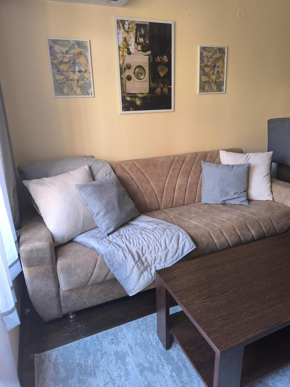 Living room, Photo of the whole room