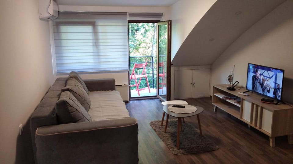 Apartman Radenkovic Apartment in Serbia