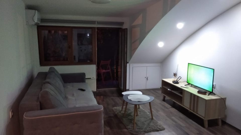 Apartman Radenkovic Apartment in Serbia